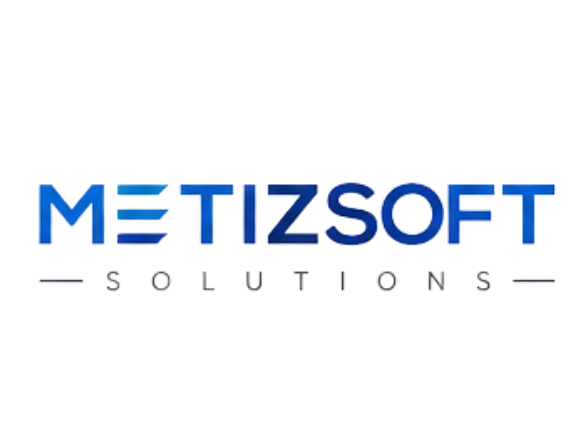 Metizsoft Solutions logo