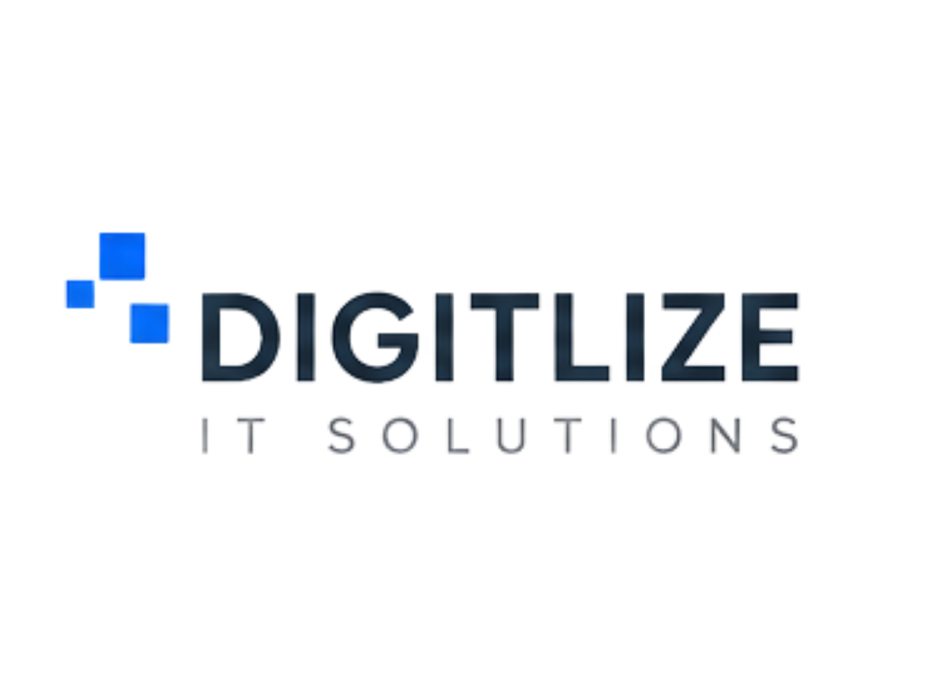 Digitlize IT Solutions logo